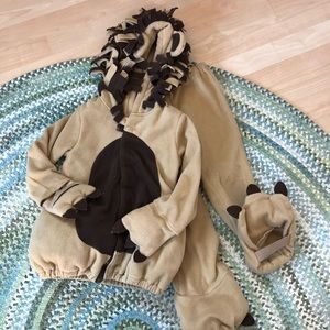 Old Navy 4T Lion Outfit